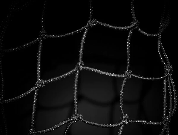 Electra Reflective Cargo Net 4 Electra Reflective Cargo Net - Image 2