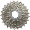 Shimano Alivio 9-Speed Cassette